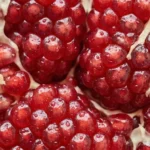 L-Karnozyna Pure