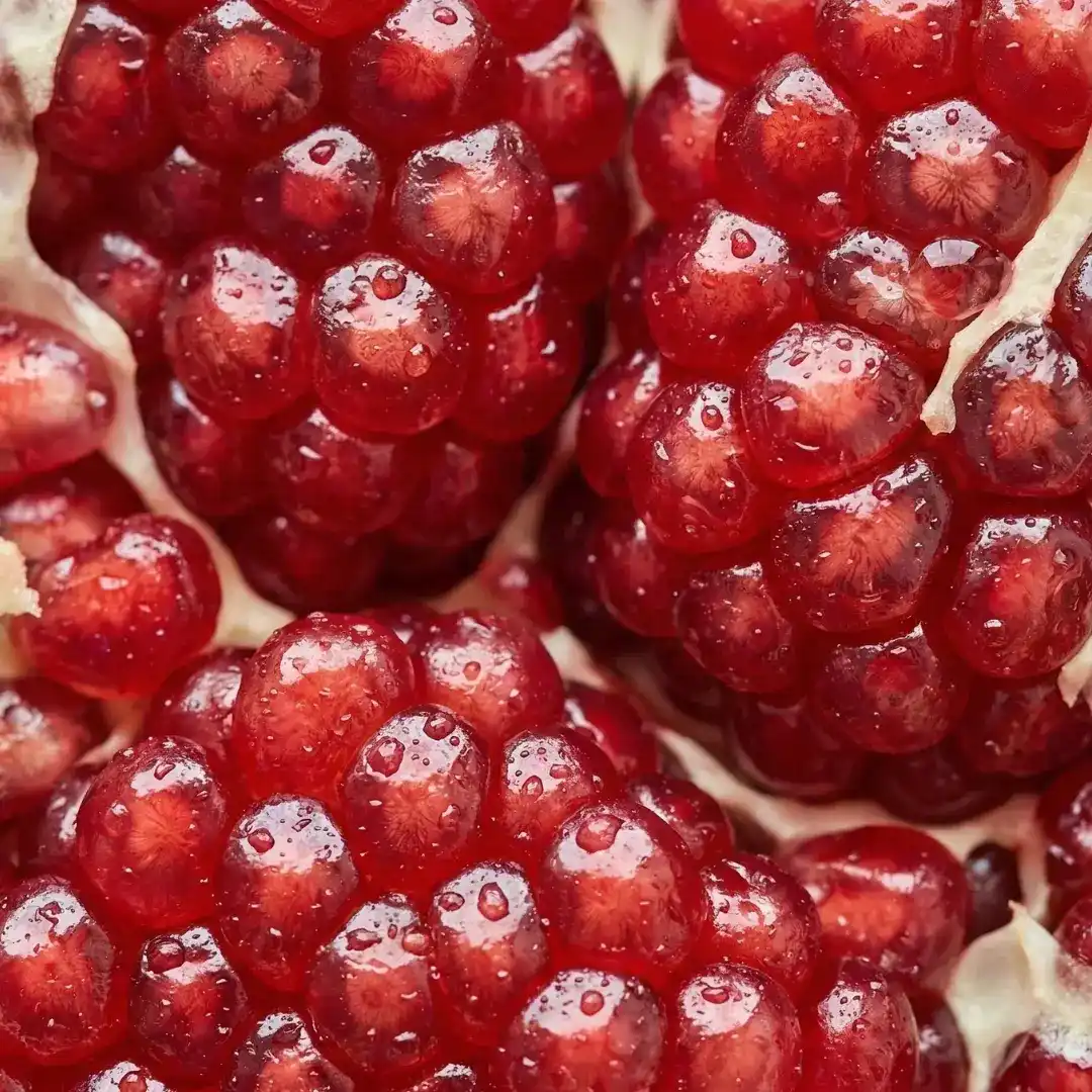 Granatowiec właściwy (Punica granatum) – składnik produktu | PlantaHerb
