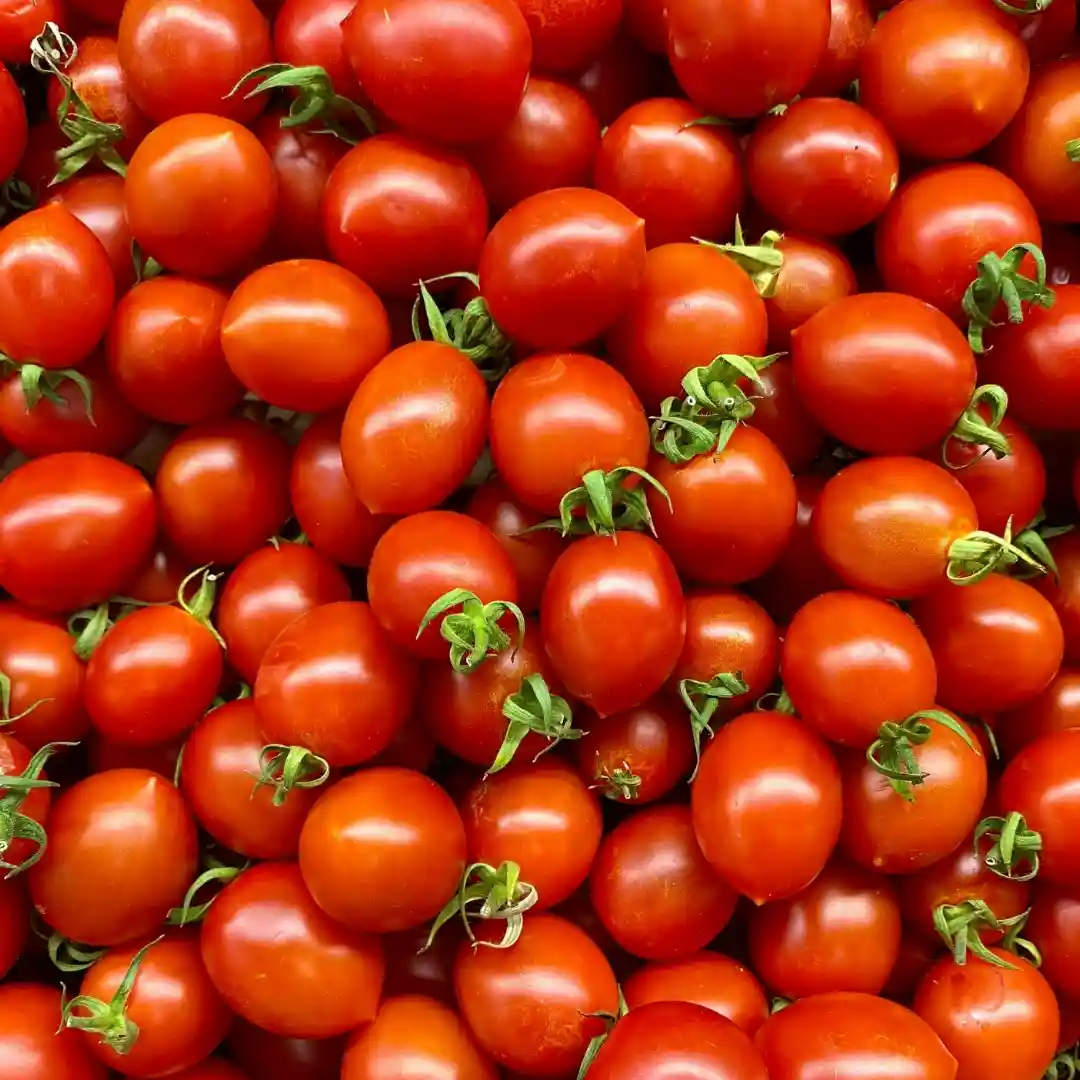 Owoce pomidora zwyczajnego – źródło likopenu w produkcie PlantaHerb